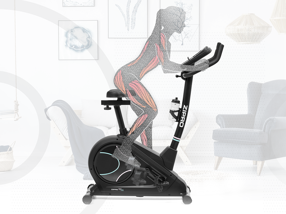 Rower elektryczno-magnetyczny Flame WM Zipro