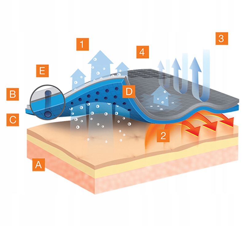 Termoregulacja i ochrona przed warunkami atmosferycznymi