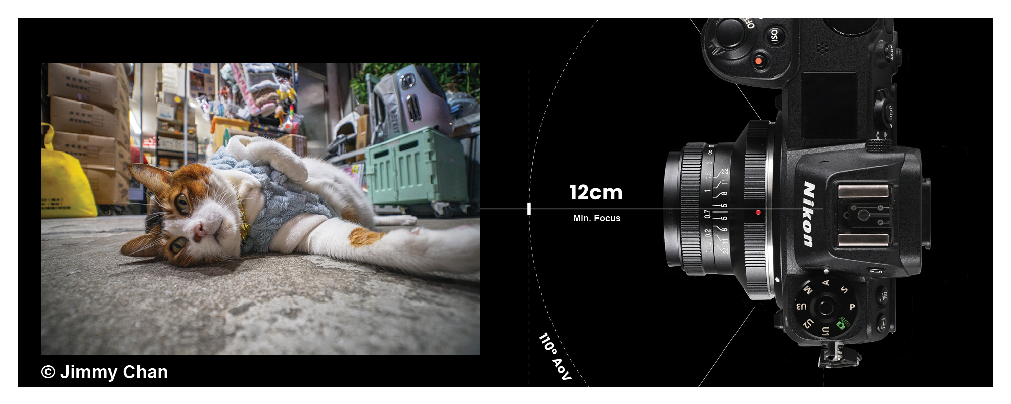 width=100% Obiektyw Laowa 15 mm f/5,0 FF Cookie do Nikon Z obok zdjęcia kota