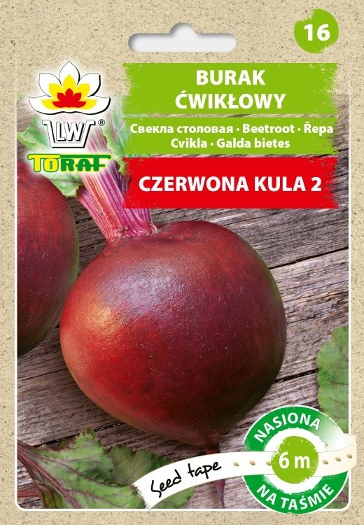 Sprawdzona jakość nasion – gwarancja udanego plonu