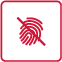Ikona