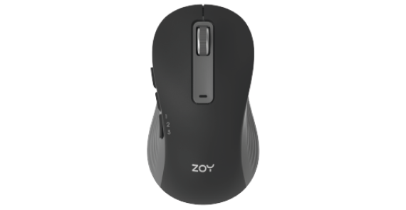 ZOY
