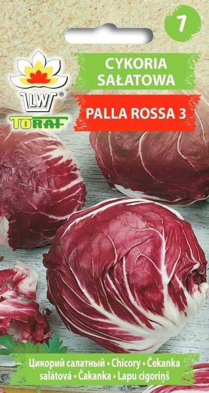 Cykoria Sałatowa Palla Rossa 3 – Nasiona warzyw do Twojego ogrodu
