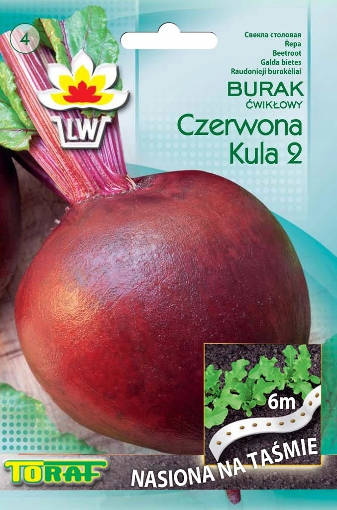 Taśma nasienna – wygoda i efektywność w siewie