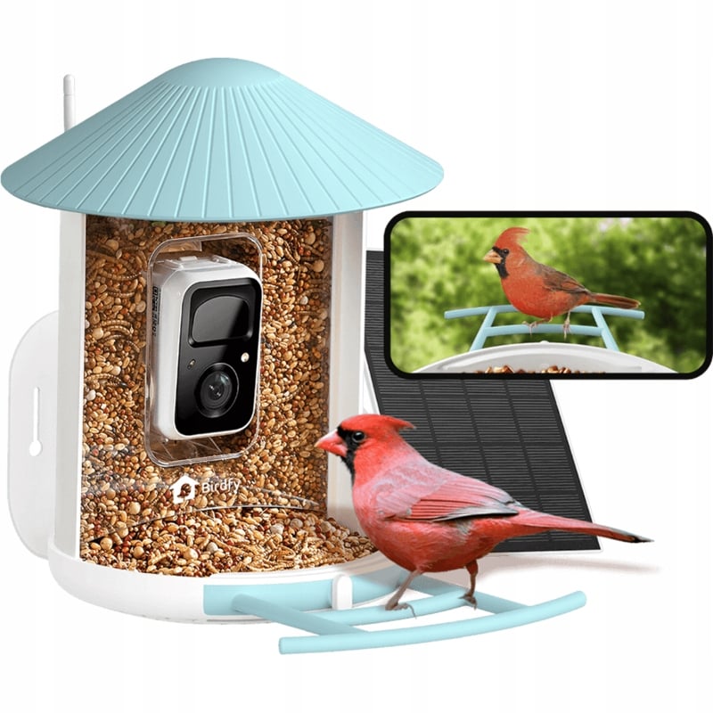 Birdfy Feeder z panelem słonecznym – Nowoczesny karmnik z kamerą i AI