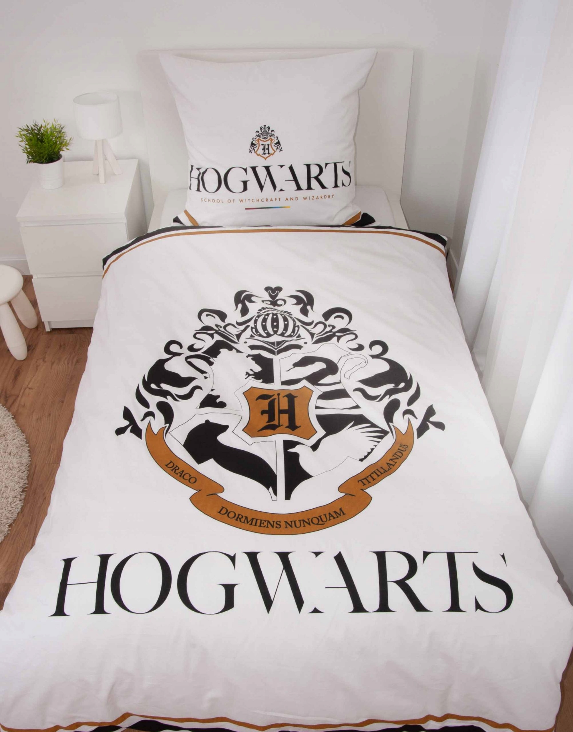 Dwustronny wzór z motywem Harry'ego Pottera