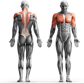 Obciążenie żeliwne 15 kg - Marbo Sport
