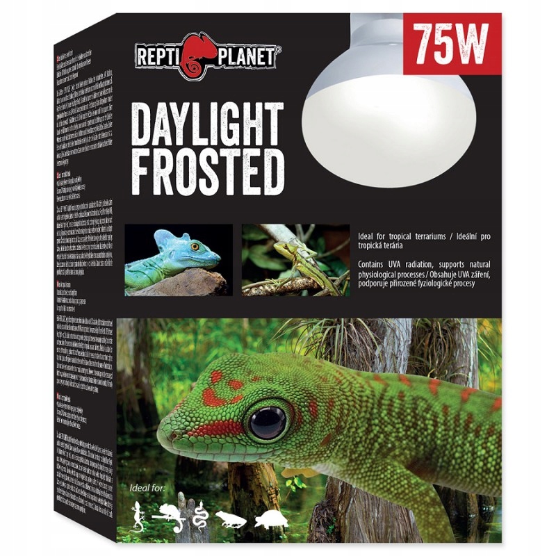 Żarówka REPTI PLANET Daylight Frosted 75W – Idealne oświetlenie dla terrariów