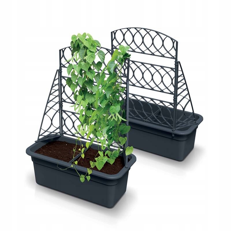 Wbudowana pergola dla roślin pnących