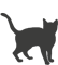 Adult Adult