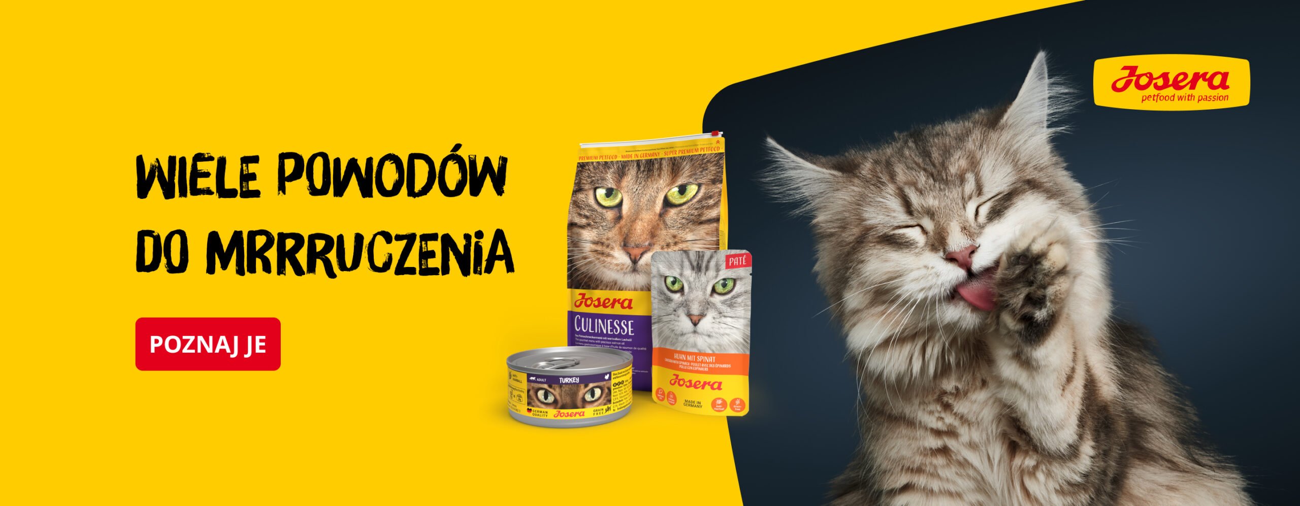 Banner dla kotów