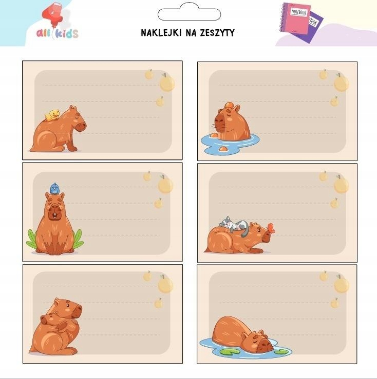 Zestaw 6 sztuk – Idealne do personalizacji zeszytów i piórników