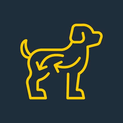 Lekkostrawna