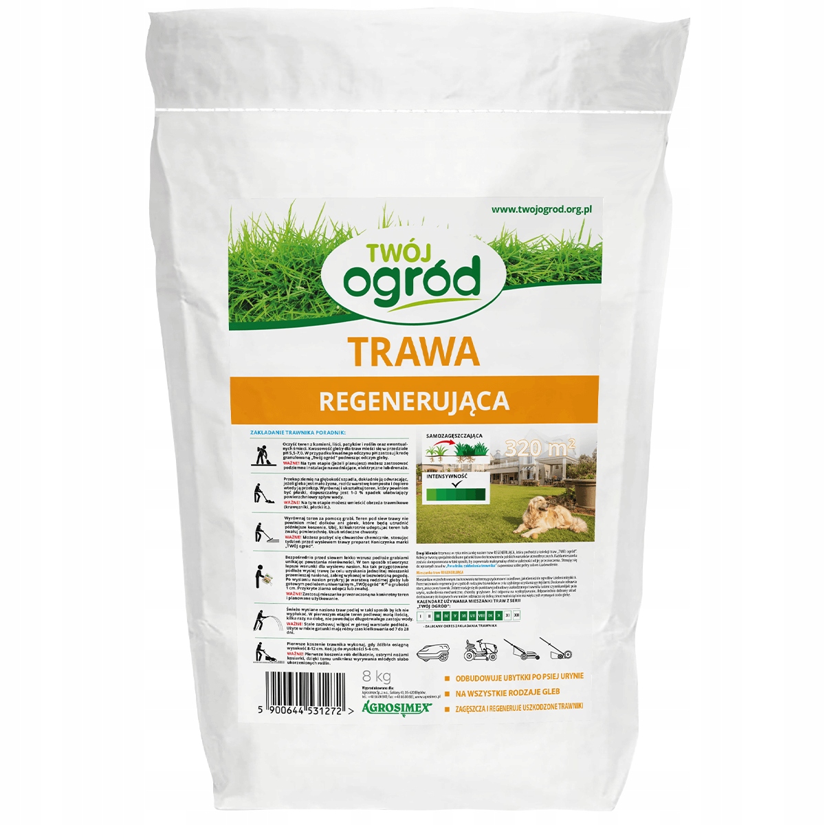 Pielęgnacja i koszenie nowego trawnika
