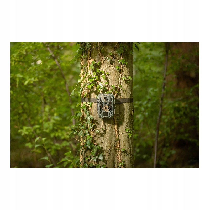 Fotopułapka Camouflage Trail Camera EZ2 Elite – Obserwuj dziką przyrodę 24/7