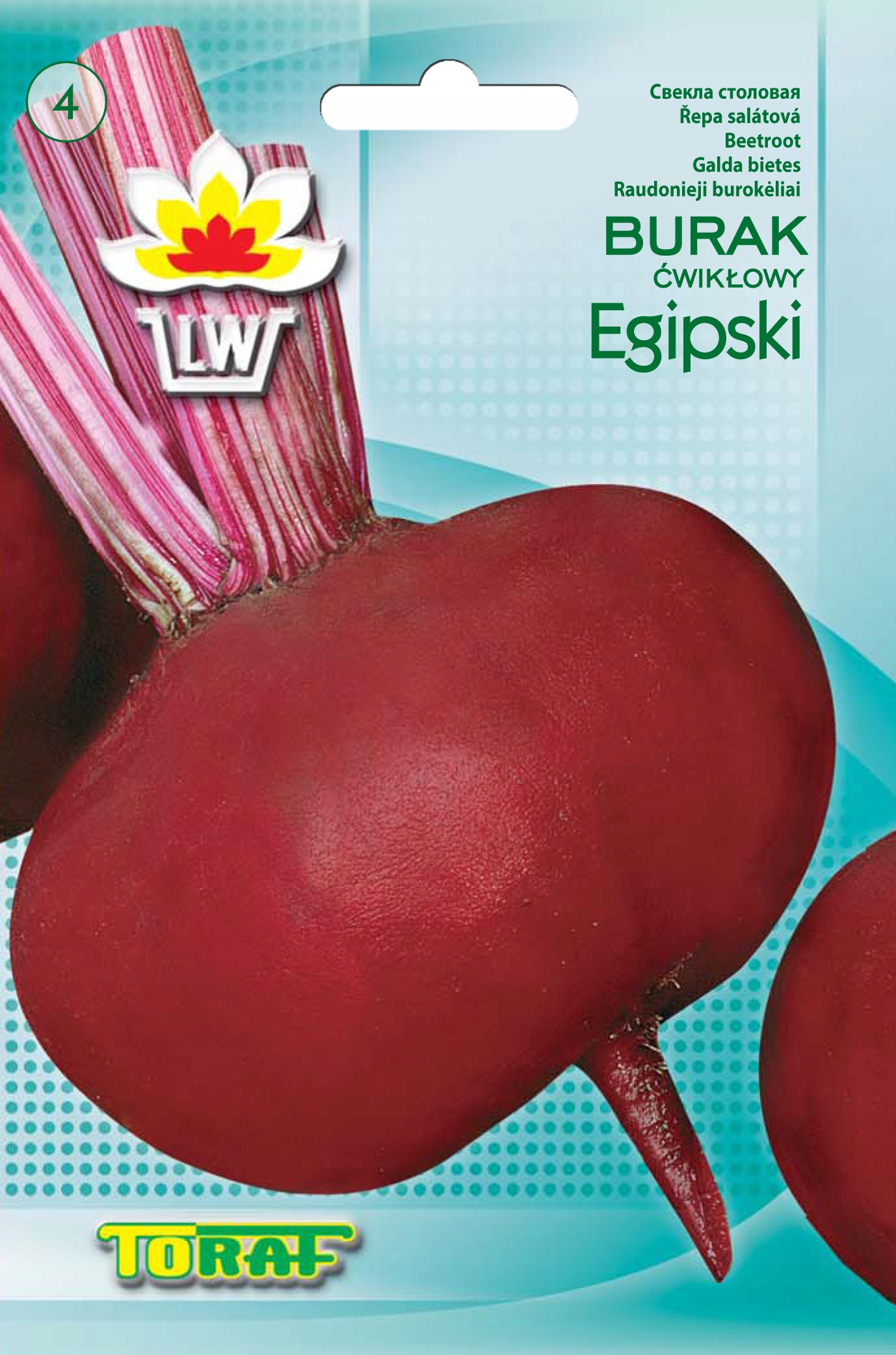 Prosta uprawa i pielęgnacja buraka ćwikłowego