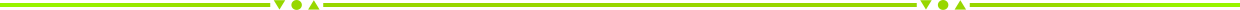 Zipro