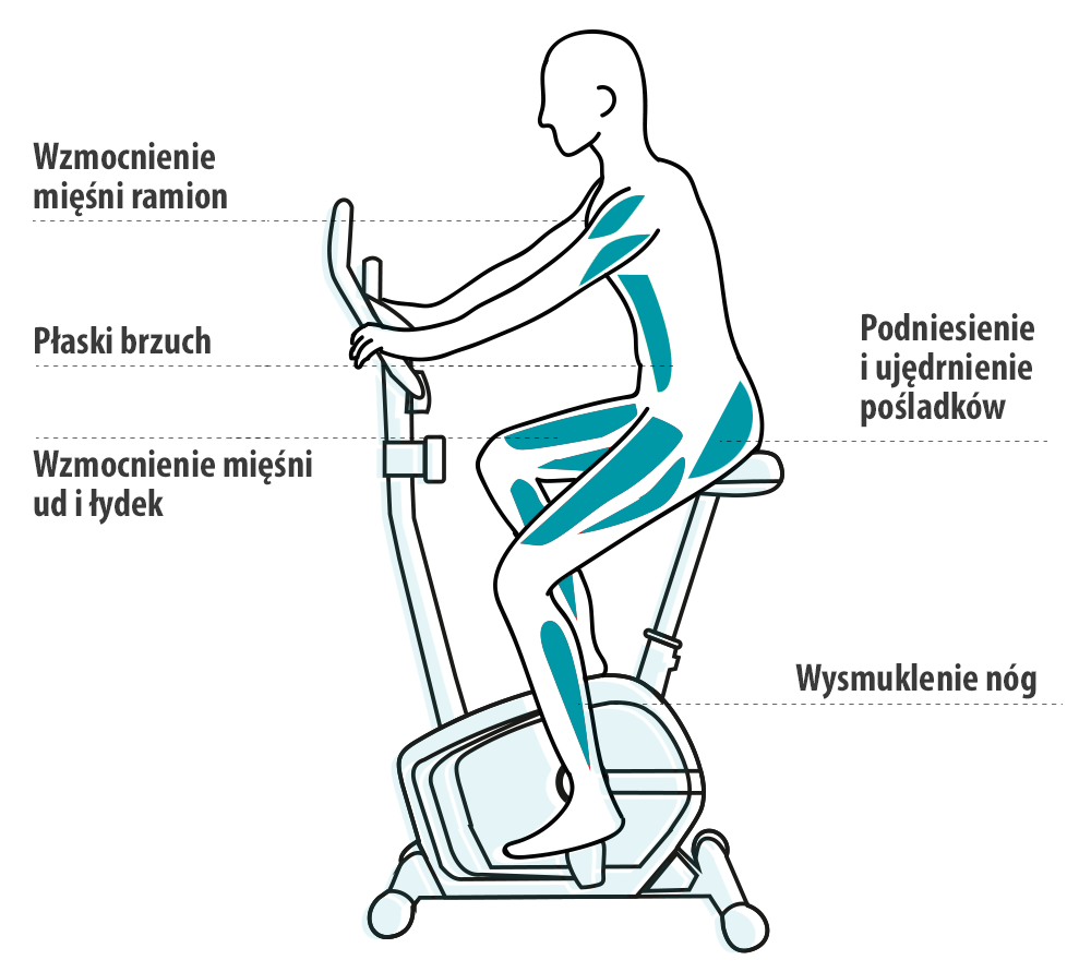 Rower indoor cycling Holo Zipro Zipro