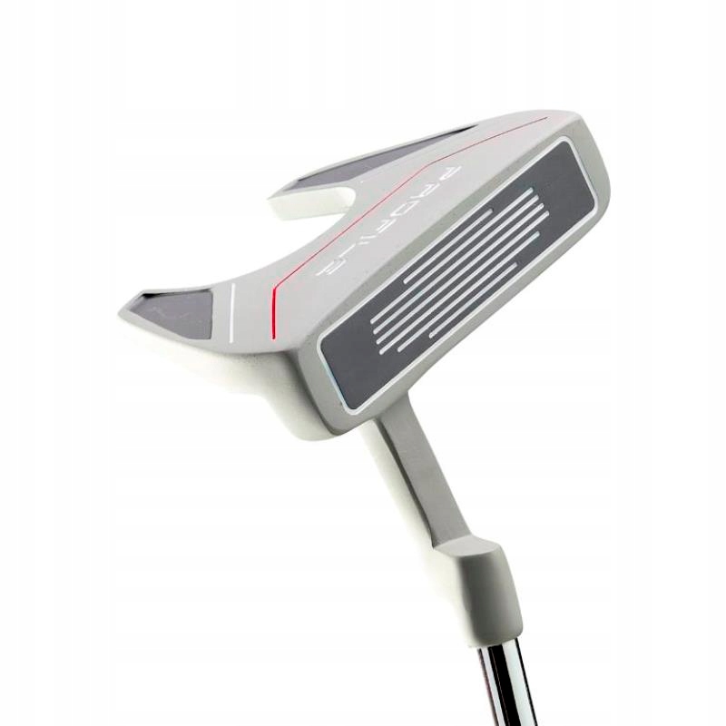 Komplet 10 kijów golfowych z torbą typu standbag