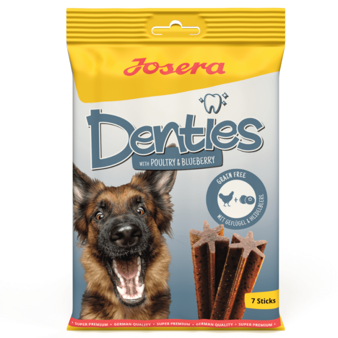 Denties z drobiem i jagodami
