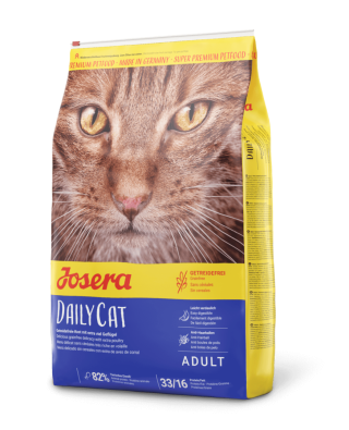 DailyCat