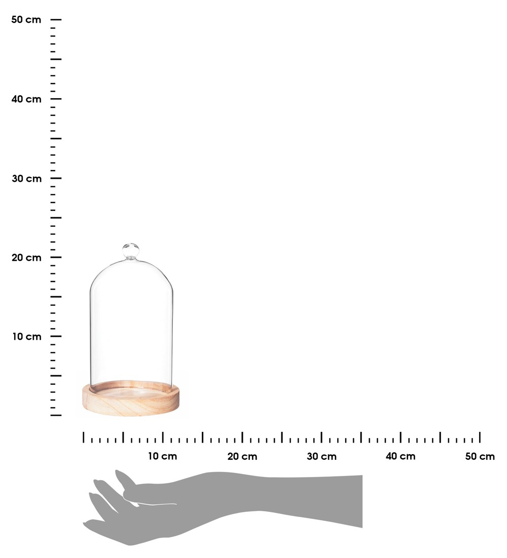 358055.jpg