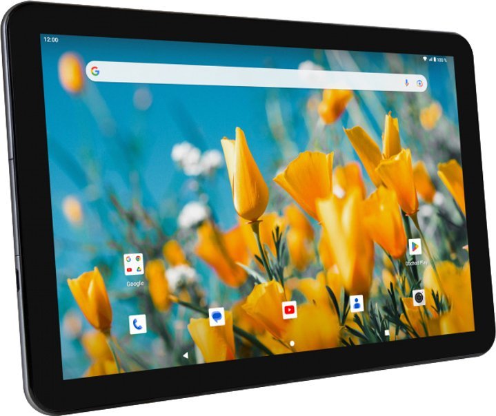 Umax VisionBook 10T