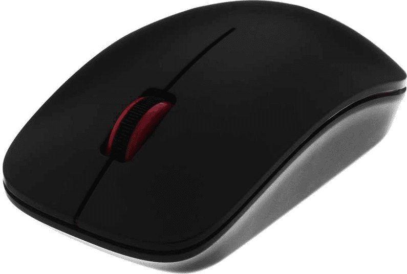 Asus WT300