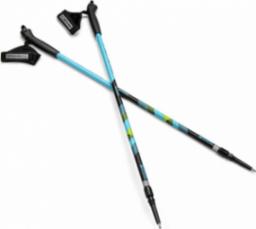 Spokey Kijki Nordic Walking Meadow niebiesko-czarno-zielone 929462