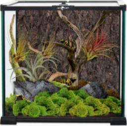REPTI PLANET REPTI PLANET terrarium szklane 30x30x45cm