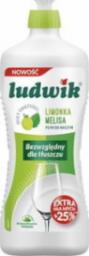 Ludwik PŁYN DO NACZYŃ DUET ŚWIEŻOŚCI LIMONKA Z MELISĄ 900g