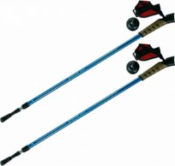 Spartan Kije nordic walking 2-sekwencje niebieskie