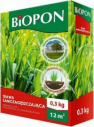 Bros Trawa nasiona samozagęszczająca uniwersalna 0.3kg