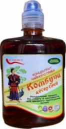 Remedium Natura Kombucza (kombucha) grzyb herbaciany 490ml REMEDIUM
