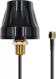 Antena Qoltec Antena 4G LTE dookólna DUAL | 5dBi | Zewnętrzna