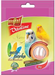 Vitapol GĘSTE PIÓRKA