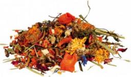 Trixie Pokarm dla agamy brodatej mix 100 g (TX-76265)