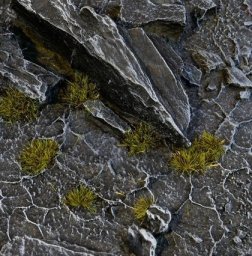 Gamers Grass Gamers Grass: Special tufts - 2 mm - Dark Moss (Tiny)