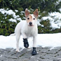 Trixie BUTY OCHRONNE Walker Active XS 2 szt.