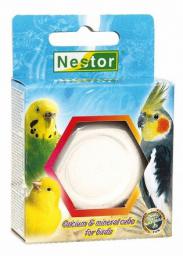 Nestor WAPNO DLA PTAKÓW