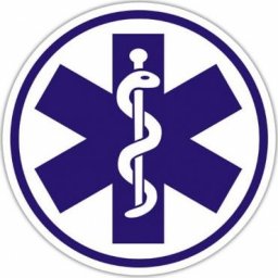 Polska Firma Naklejka ESKULAP na szybę 8 cm (klejona od wewnątrz)
