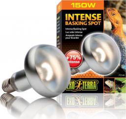 Hagen EXOTERRA ŻARÓWKA INTENSE SPOT 150W