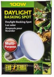 Hagen EXOTERRA ŻARÓWKA DAYLIGHT SPOT 50W