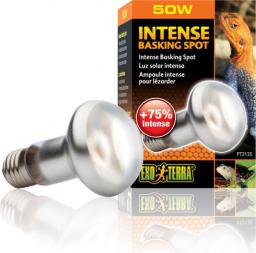 Hagen EXOTERRA ŻARÓWKA INTENSE SPOT 50W