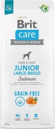 Brit Karma dla Psa Alergika Junior Large Łosoś 12kg