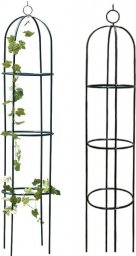 Severno Pergola ogrodowa na kwiaty, róże kolumnowa "Persian Yellow"