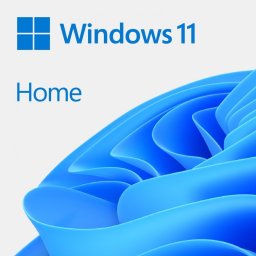 System operacyjny Microsoft Windows 11 Home SK 64 bit OEM (KW9-00654)