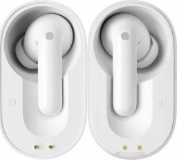 Timekettle M3 Offline portable translation device