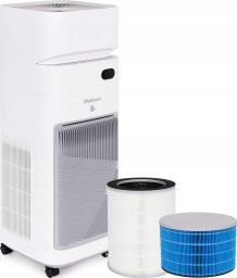 Oczyszczacz powietrza Webber AP9650