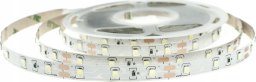 Taśma LED ECOLIGHT2 Eco Light* EC79092 taśma LED 24W 4.8W/M LED 5M 4000K 200lm biała